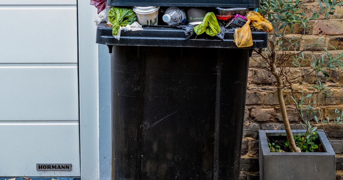 Open fridge full of fresh vegetables and fruit in a Swiss kitchen