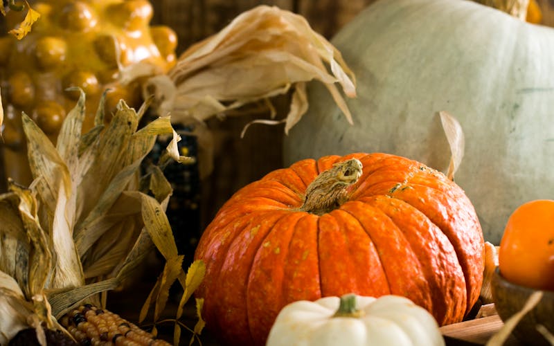 Autumnal Swiss produce: pumpkin, apples, carrots, and cabbage on a wooden table